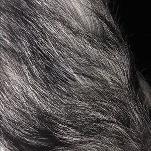 Meet your Posher, Will